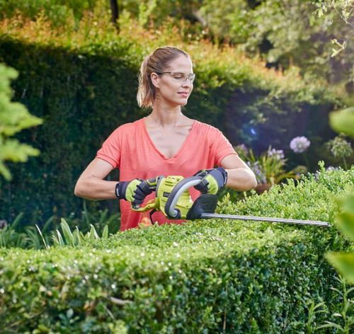 cumpără Foarfece pentru arbuști RYOBI RHT5150 5133002795 în Chișinău 