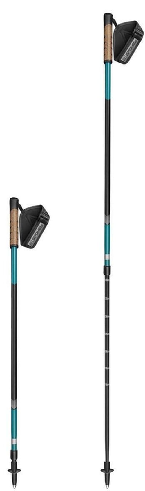 купить Треккинговые палки Spokey Peak (944815) в Кишинёве 