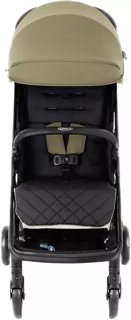 cumpără Сărucior pentru copii Graco Myavo Clover (GS2107BBCVR000) în Chișinău 
