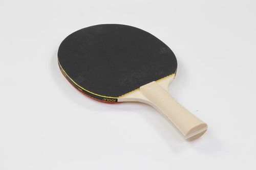 cumpără Articol de tenis Joola JOOLA FAMILY 54810 în Chișinău 