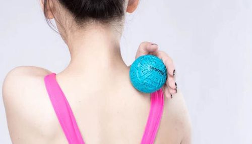 cumpără Dispozitiv de masaj mecanic SUHS 12368 Minge masaj 6 cm (2 buc.) LP8507 în Chișinău 