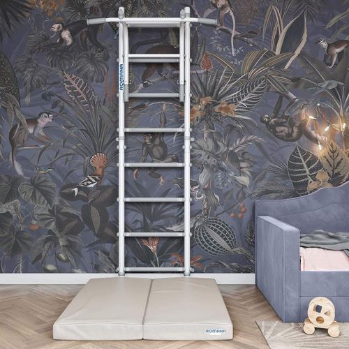 купить Шведская стенка Romana S12 (6.1.8.12.490.00 + 6.03.00-20) White Provence шведская стенка в Кишинёве 