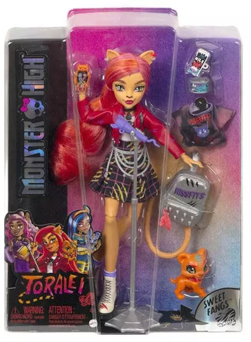 купить Кукла Mattel HHK57 Monster High в Кишинёве 