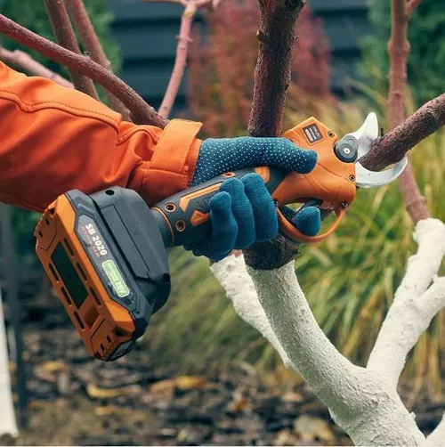 купить Ножницы садовые Sequoia SBP2030B-QV Ножницы с аккумулятором 1x2Ah в Кишинёве 