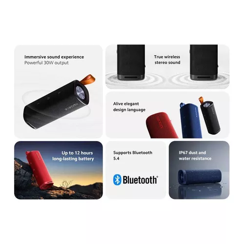 купить Колонка портативная Bluetooth Xiaomi Sound Outdoor Black в Кишинёве 