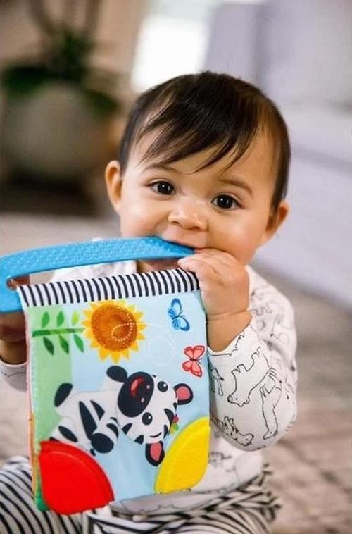 cumpără Iinel dentiție Baby Einstein 11794 Jucarie-carte pentru dentitie în Chișinău 