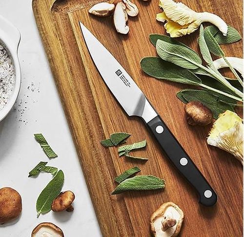 купить Нож Zwilling 54051 pentru fructe si legume PRO, 10cm в Кишинёве 