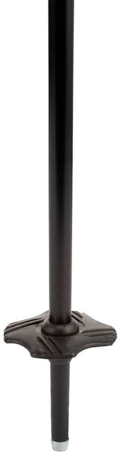 cumpără Bețe de schi Rossignol Tactic Jr Grey 100 (RDI6030) în Chișinău 