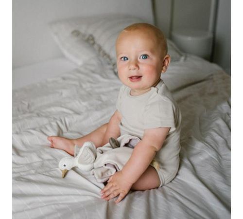 cumpără Jucărie de pluș BabyOno 7403 1559 игрушка-платок Goose Zoe în Chișinău 