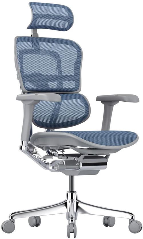 купить Офисное кресло ART Ergohuman Elite 2 Cobalt T-168-B4 EHE2-AG-HAM-5D-L в Кишинёве 