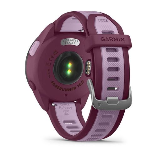 купить Смарт часы Garmin Forerunner® 165 Music, Berry/Lilac (010-02863-33) в Кишинёве 