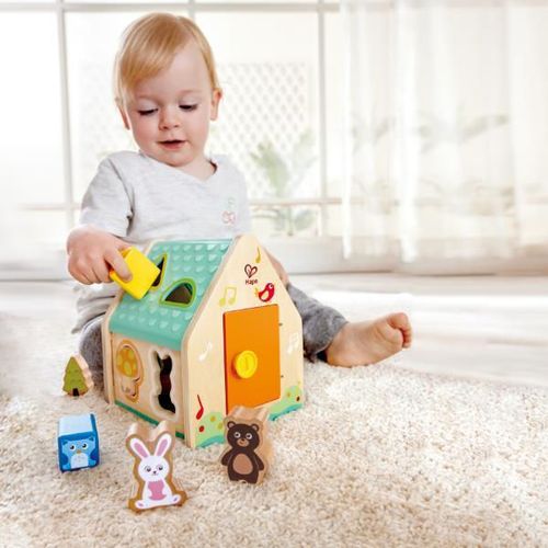 купить Головоломка Hape E0515 Sorter Căsuța cu animale в Кишинёве 