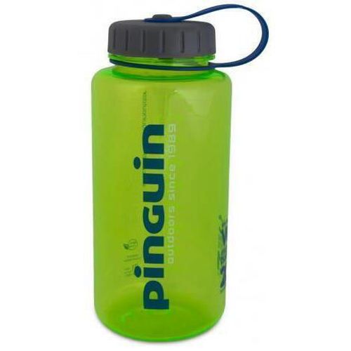 купить Бутылочка для воды Pinguin Tritan Fat Bottle 1,0 L green в Кишинёве 