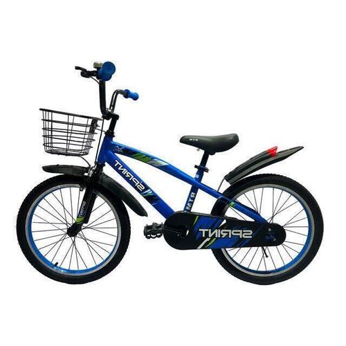 cumpără Bicicletă Richi GI-6/3 Bicicleta Sprint pentru copii 20" albastru în Chișinău 