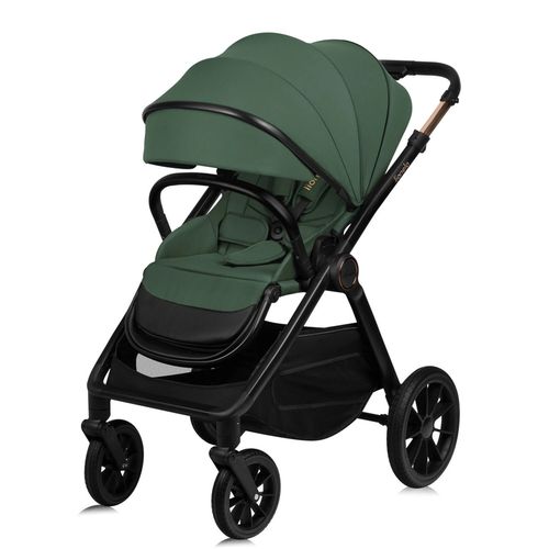 купить Детская коляска Lionelo Carucior 2in1 Layla Green Forest в Кишинёве 