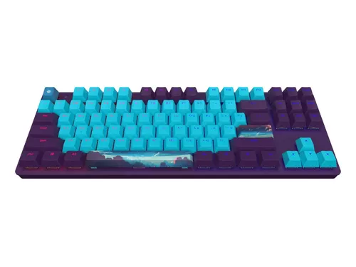 купить Игровая клавиатура Dark Project 87 Night Sky - G3MS Mech. RGB в Кишинёве 