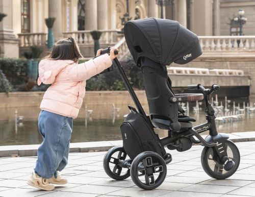 cumpără Bicicletă-cărucior Qplay Comfo Max Black în Chișinău 