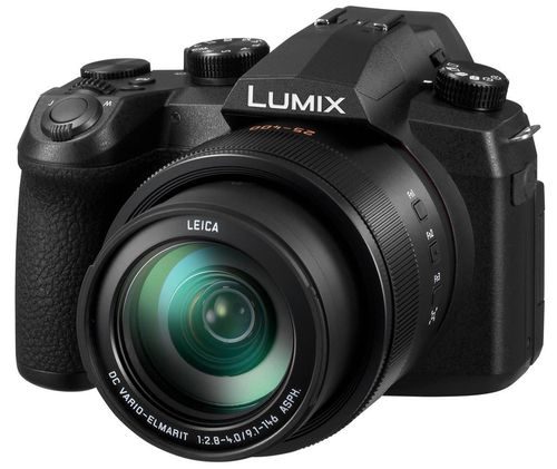 купить Фотоаппарат компактный Panasonic DC-FZ10002EE в Кишинёве 