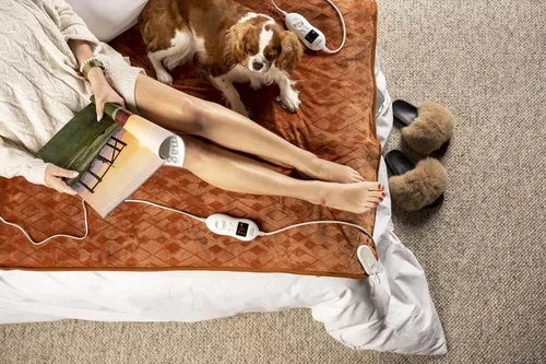 cumpără Pătura electrică Camry CR 7436 în Chișinău 