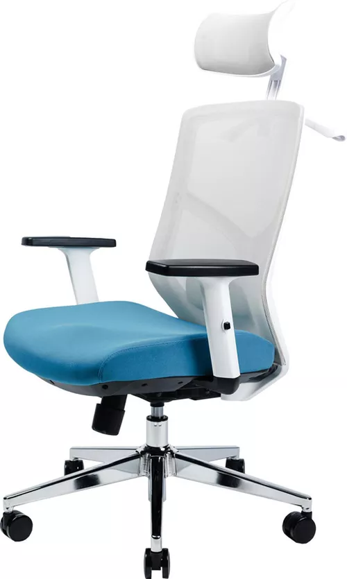 cumpără Fotoliu de birou CUSTÓ Nitra, gri - albastru în Chișinău 