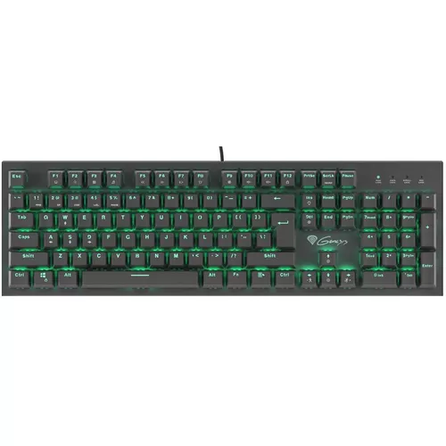 cumpără Tastatură Genesis NKG-0947/Thor 300 în Chișinău 