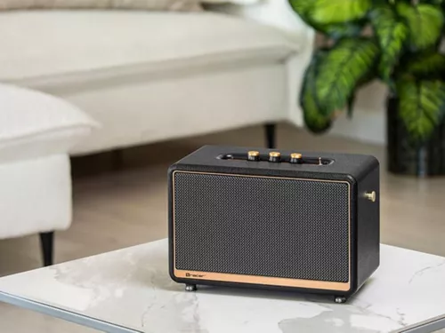 купить Колонка портативная Bluetooth Tracer M45 TWS BT в Кишинёве 