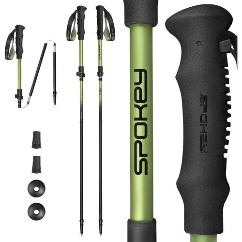 cumpără Bețe pentru trekking Spokey Terra, палки для скандинавской ходьбы (944825) în Chișinău 