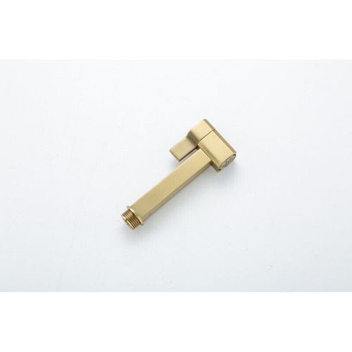 cumpără Baterie pentru bideu Gappo SC20-3 Gold (telefon dus pentru bide) în Chișinău 