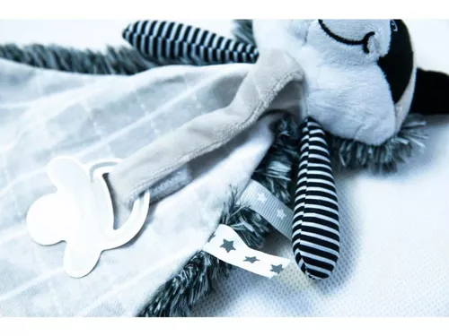 cumpără Suzetă BabyOno 0747 Jucarie cu pandantiv pu suzeta RACCON în Chișinău 