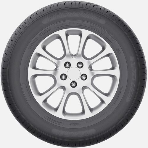 купить Шина Fortune 215/75 R16C 116/114R FSR-71 10PR в Кишинёве 