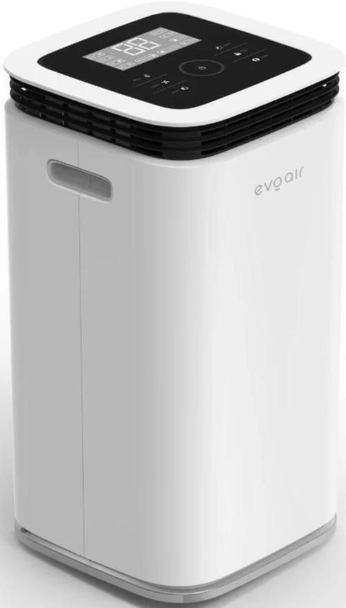 купить Осушитель воздуха EvoAir FlexiDry 22 Smart, 22 л/24 ч, датчик влажности, функция ионизации в Кишинёве 