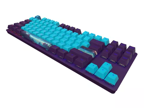 купить Игровая клавиатура Dark Project 87 Night Sky - G3MS Mech. RGB в Кишинёве 