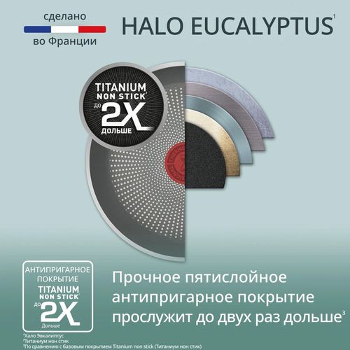 купить Сковорода Tefal G0167702 Halo Eucalyptus Wok 26cm в Кишинёве 