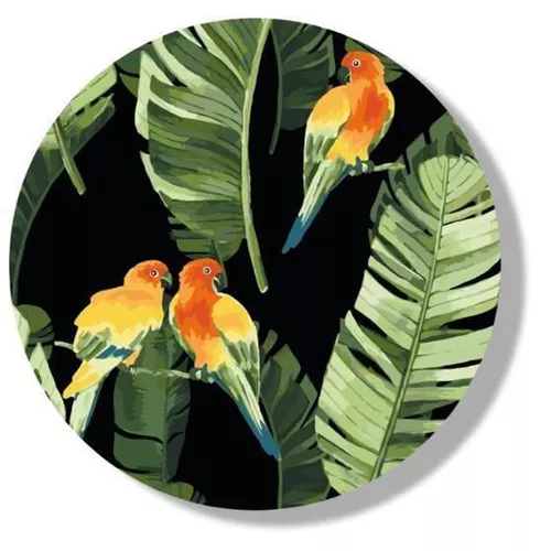 cumpără Tablou pe numere BrushMe RC00018FC D30 сm (fără cutie) Papagali tropicali în Chișinău 