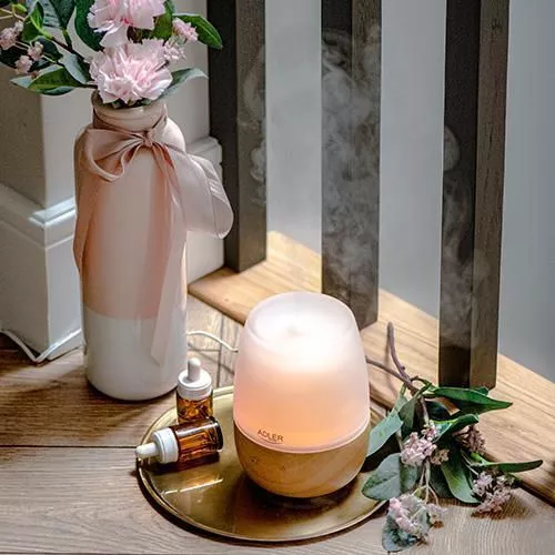 купить Увлажнитель воздуха Adler AD 7967 в Кишинёве 