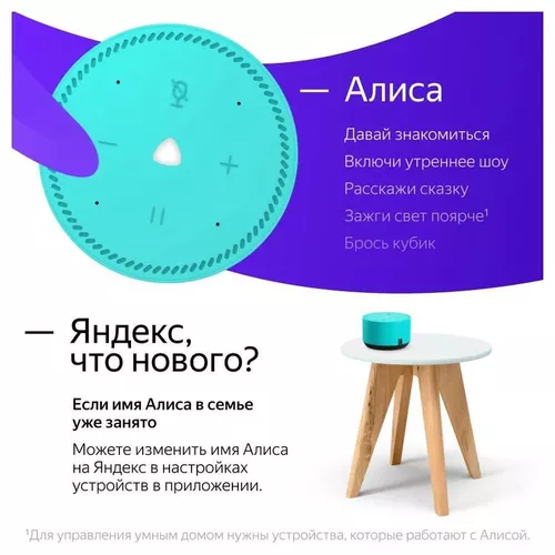 cumpără Boxă portativă Bluetooth Yandex YNDX-00025G Alisa Station Lite Green în Chișinău 
