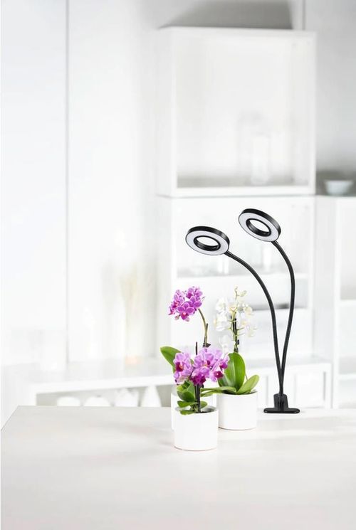 купить Настольная лампа Xavax 112696 Circle Plant Lamp в Кишинёве 