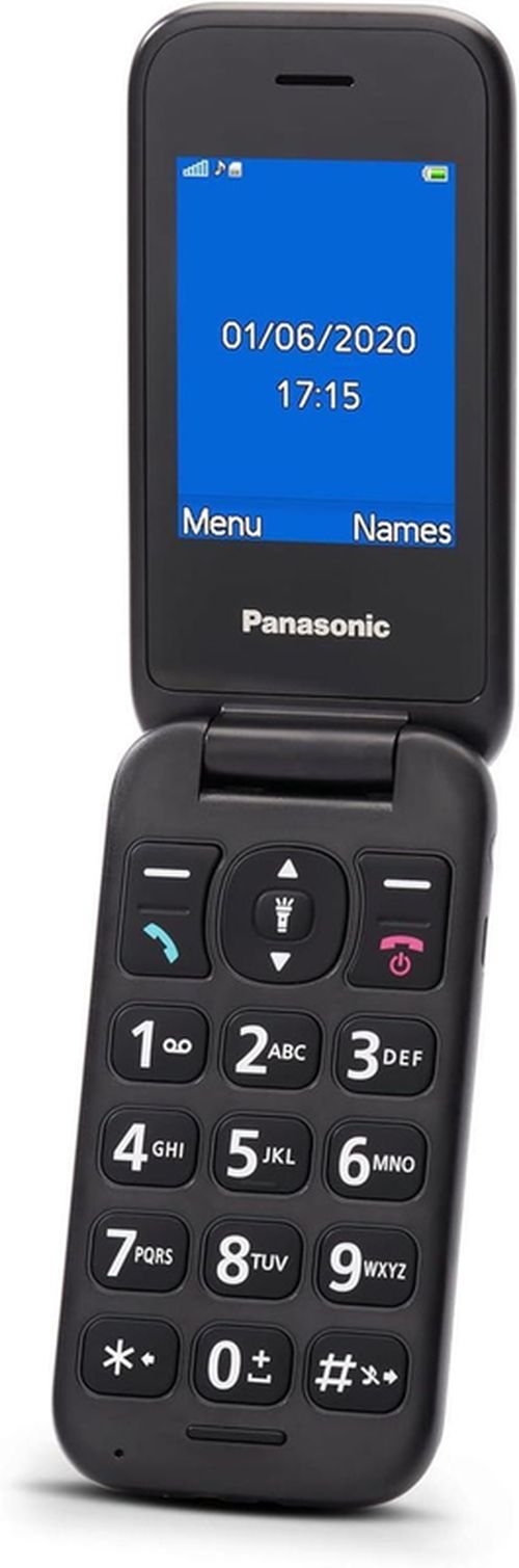 cumpără Telefon mobil Panasonic KX-TU400EXG în Chișinău 