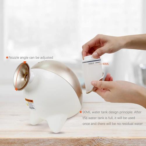 cumpără Dispozitiv p/u îngrijirea feței Touch Beauty Electric Facial Steamer în Chișinău 