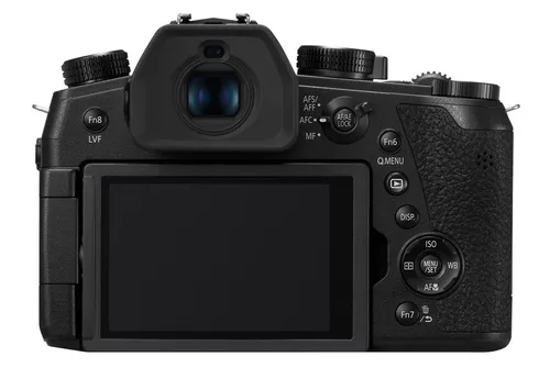 купить Фотоаппарат компактный Panasonic DC-FZ10002EE в Кишинёве 