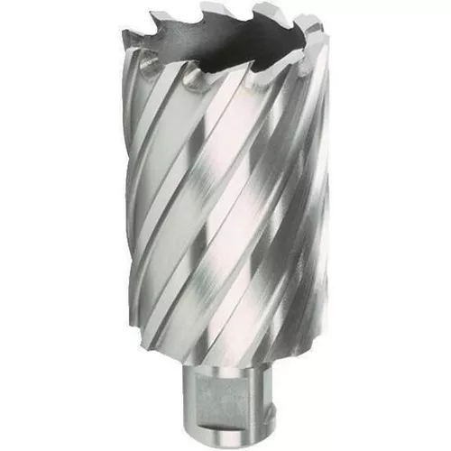 купить Набор головок, бит, насадок Hitachi-Hikoki 754411 Коронка HSS по металлу, крепление Weldon 19мм, 22х30мм в Кишинёве 