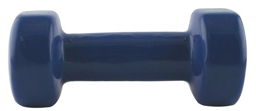 купить Гантель HMS 1470 Gantera 3 kg vinil, albastru deschis в Кишинёве 