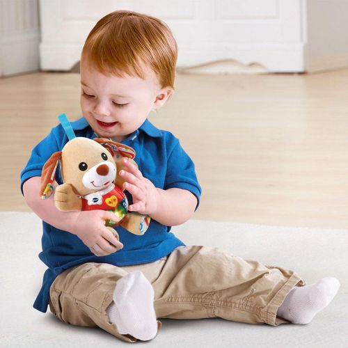 купить Игрушка-подвеска Vtech Baby 80502326 Little singing puppy RUS в Кишинёве 