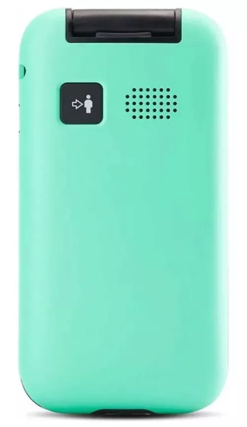 cumpără Telefon mobil Panasonic KX-TU400EXC în Chișinău 