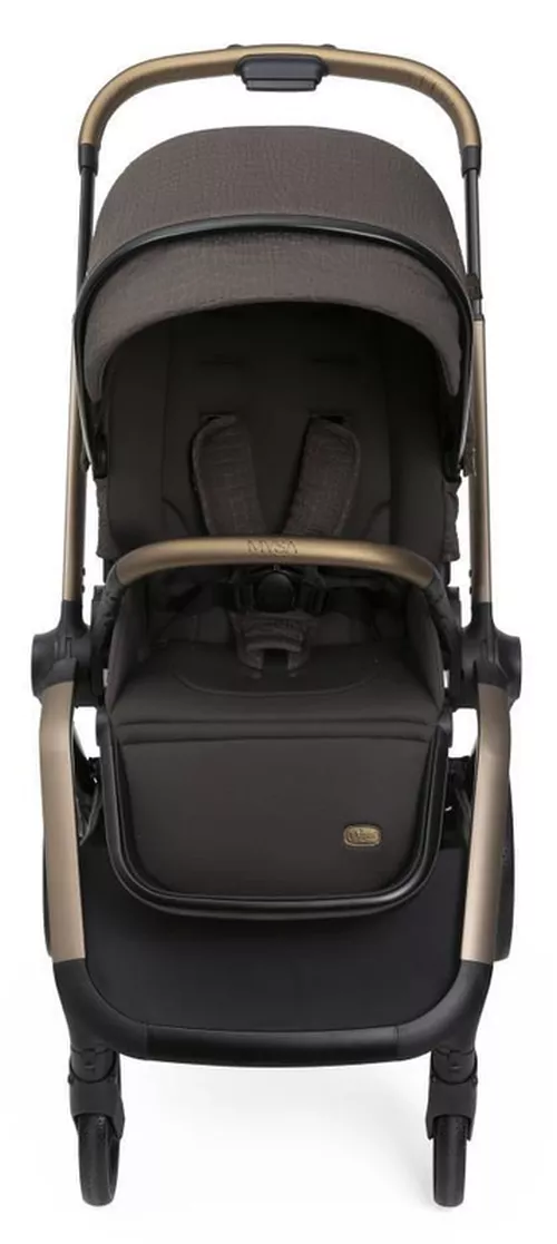 cumpără Сărucior pentru copii Chicco 8702632 Mysa, Bronze Lizard Re Lux, Editie limitata , 0+ luni în Chișinău 
