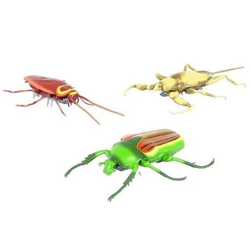 купить Игрушка miscellaneous 6068914 Gândăcei interactivi в Кишинёве 