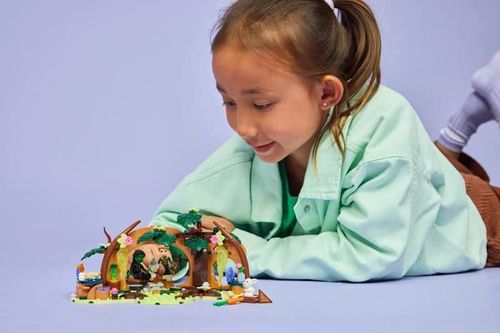 купить Конструктор Lego 75687 Elphaba's Retreat в Кишинёве 