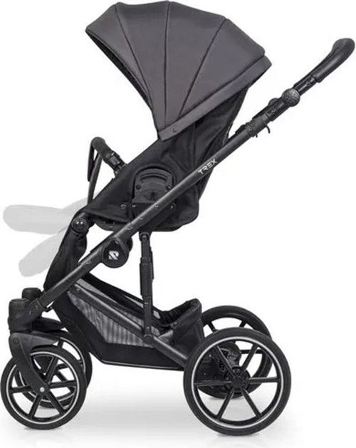 купить Детская коляска Riko Carucior 2in1 Trex antracite в Кишинёве 