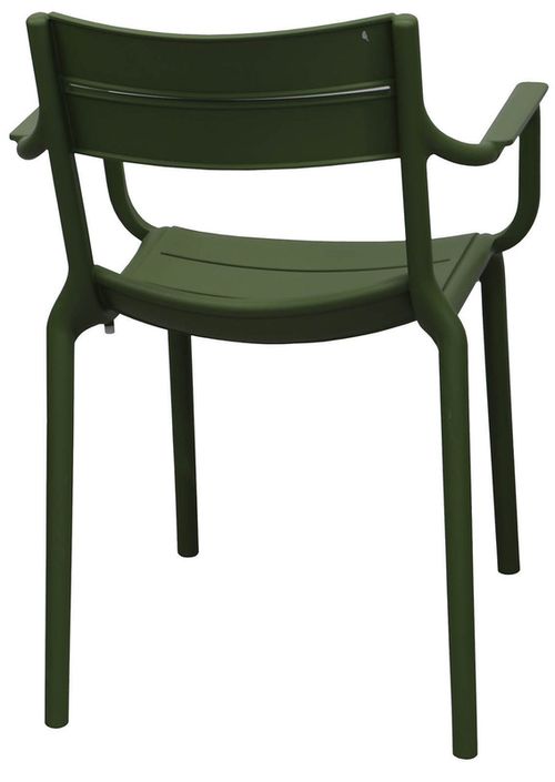 cumpără Scaun Deco Terasa Ruben Dark Green în Chișinău 