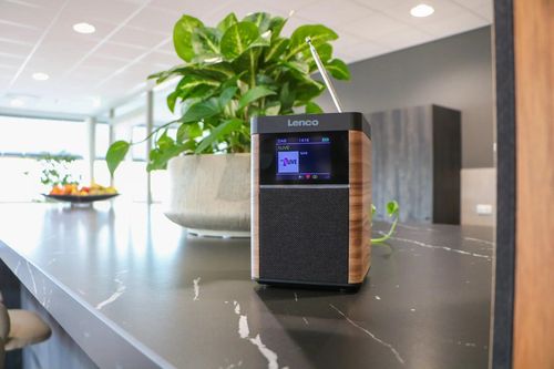 cumpără Aparat de radio Lenco PDR-060WD în Chișinău 